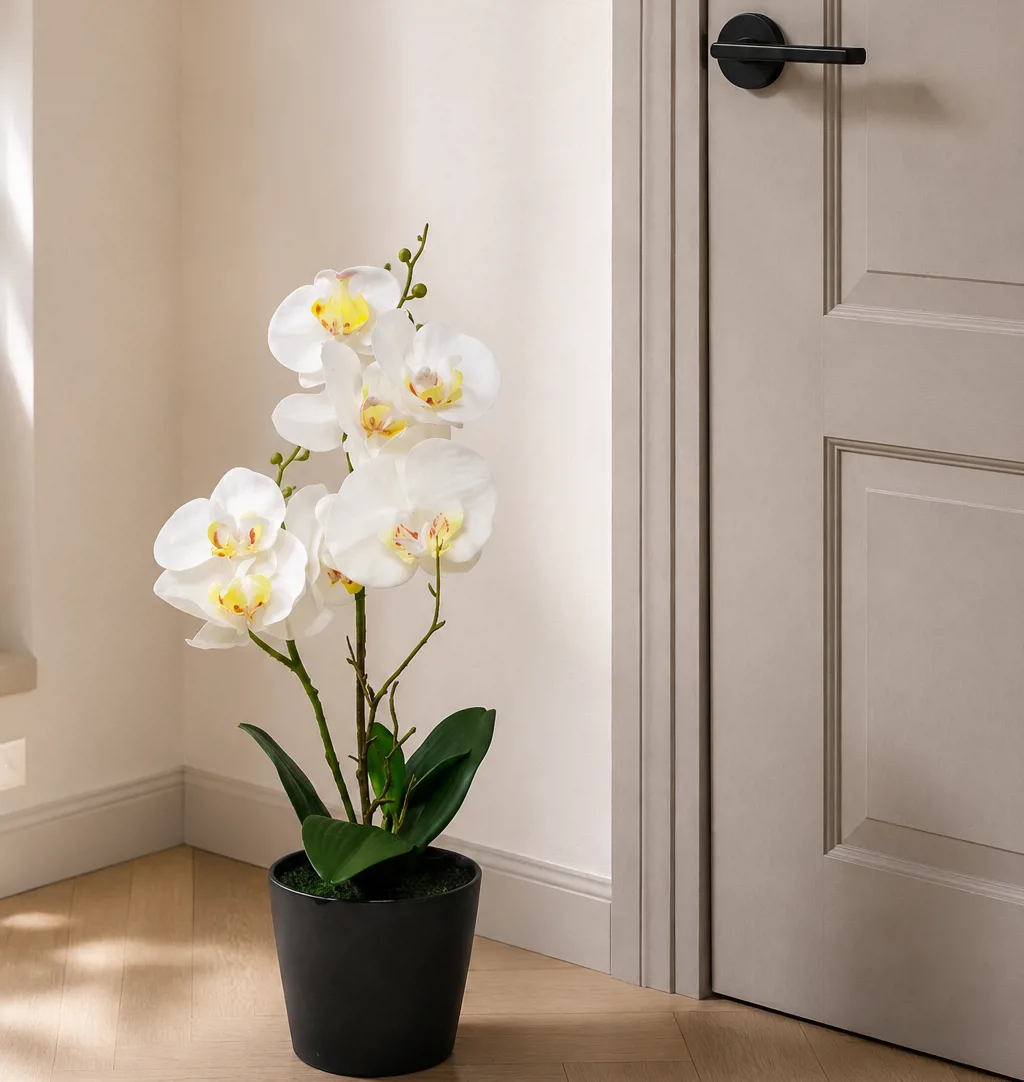 ORQUIDEAS BLANCAS - Imagen 3