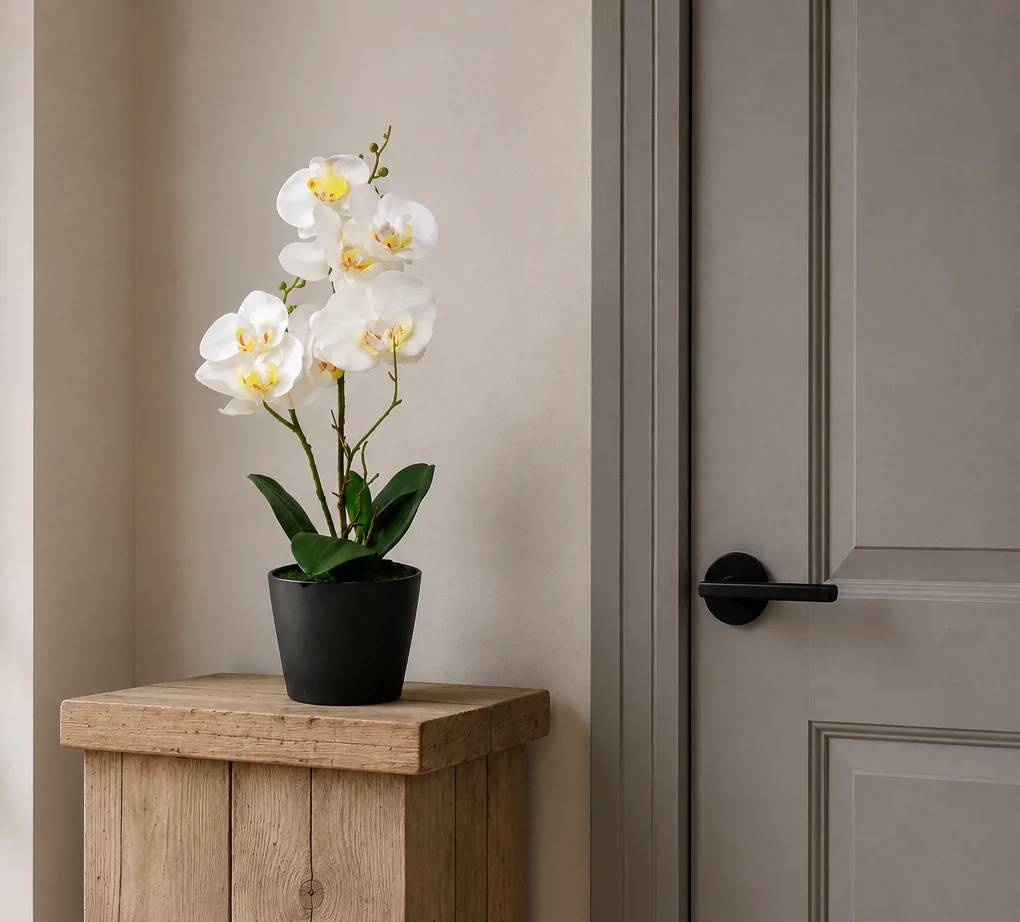 ORQUIDEAS BLANCAS - Imagen 4