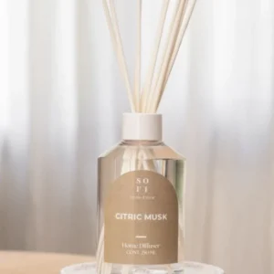 APOLO DIFFUSER X 250 ML CEDRO VERBENA