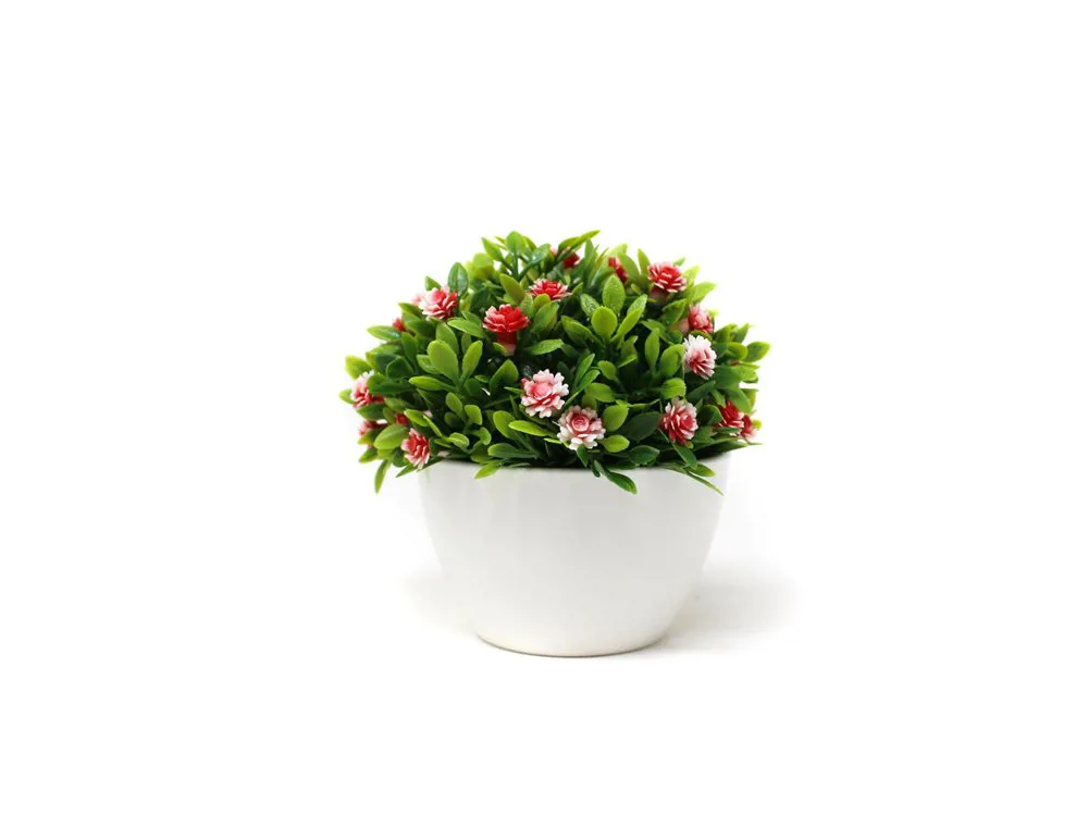 BONSAI FLORES ROJO MACETITA 9 CM X 6 CM - Imagen 2