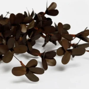 FLORES SECAS BOUQUET RUD STICK SPECIAL BROWN