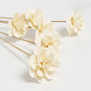 FLORES SECAS BOUQUET ROSE CAPPUCCHINO