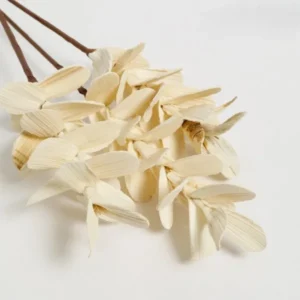 FLORES SECAS BOUQUET GARDENIA