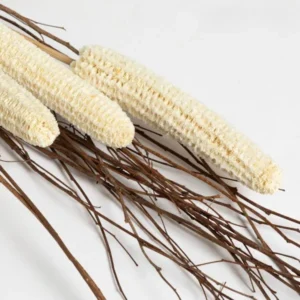 FLORES SECAS BOUQUET BHUTTA