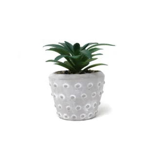 MACETA CEMENTO CON PLANTA