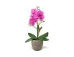 ORQUIDEA FUCSIA CON MACETA DE CEMENTO