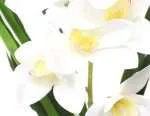 ORQUIDEAS BLANCAS - Imagen 2
