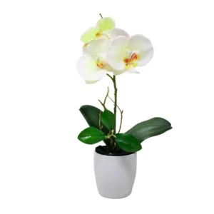 ORQUIDEA BLANCA/AMARILLA 30 CM